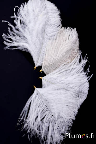 Hanger struisvogelhoofd - 17-20 cm - wit-crème